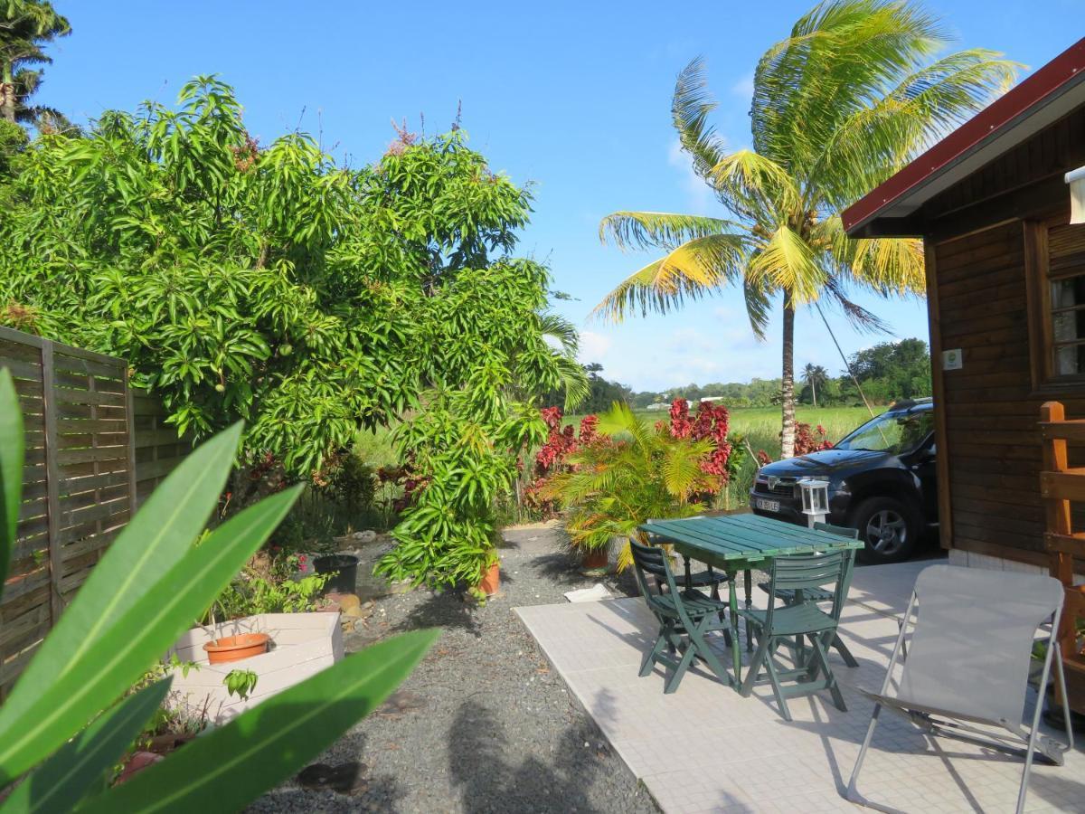Bungalow Des Paletuviers Morne-a-l'Eau Ngoại thất bức ảnh
