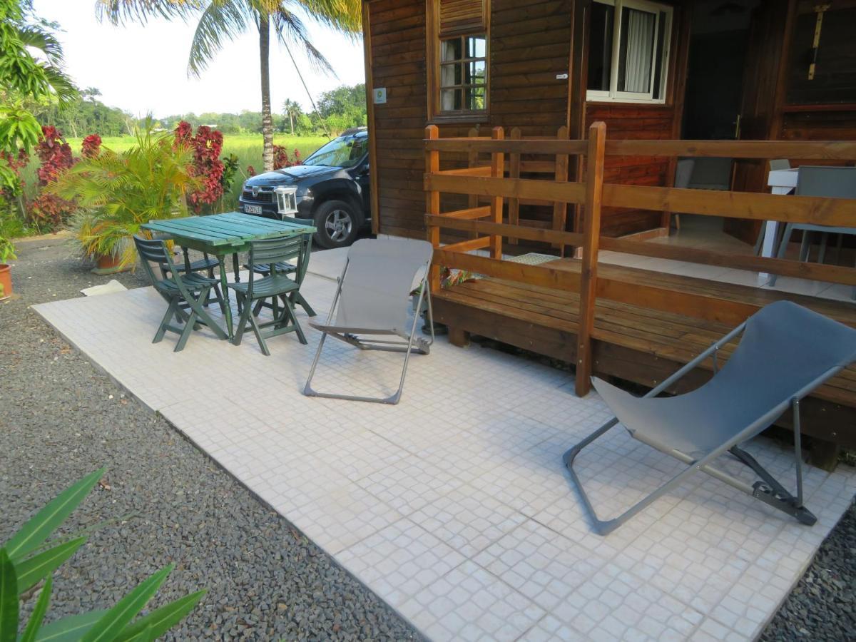 Bungalow Des Paletuviers Morne-a-l'Eau Ngoại thất bức ảnh