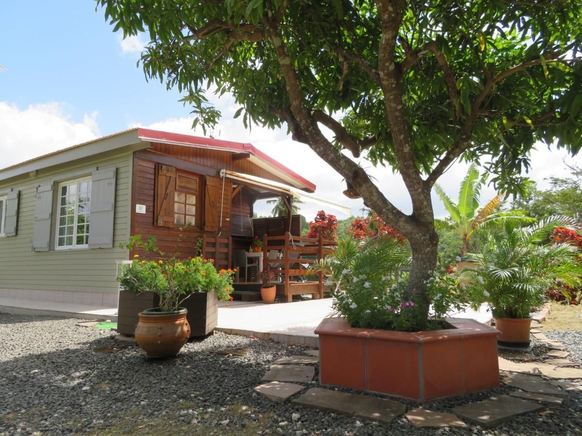 Bungalow Des Paletuviers Morne-a-l'Eau Ngoại thất bức ảnh